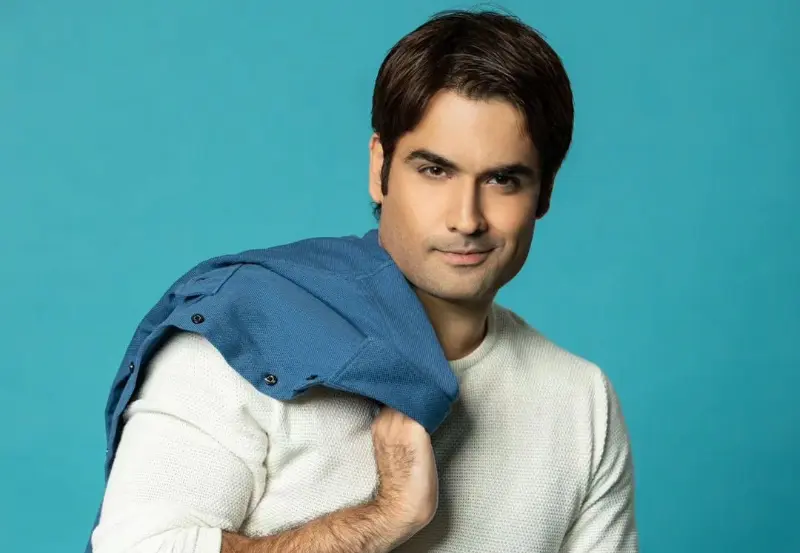 विवियन डिसेना (Vivian Dsena)